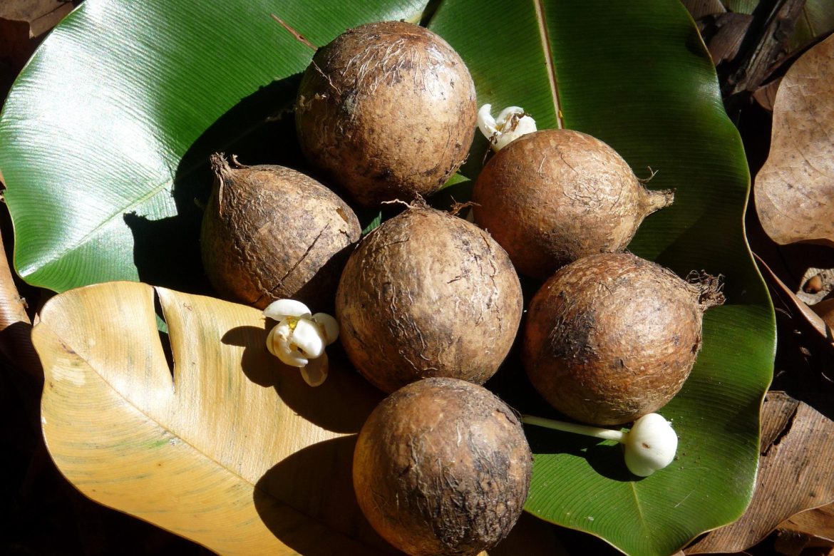 huile de tamanu effet secondaire